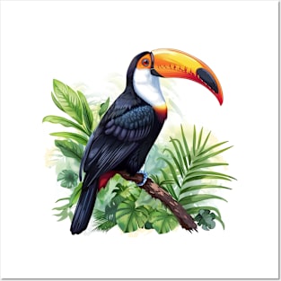 Toucan Lover Posters and Art